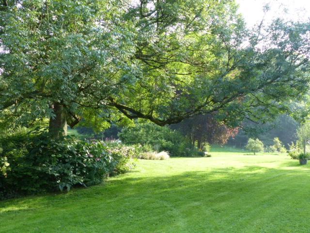 Le Jardin Du Rossignol Daire Willeman Dış mekan fotoğraf