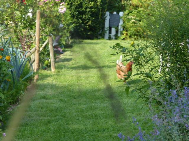 Le Jardin Du Rossignol Daire Willeman Dış mekan fotoğraf